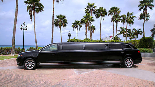 A black limo parked in front of palm trees.